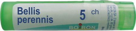 BOIRON Bellis perennis 5 CH granulki 4 g