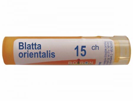 BOIRON Blatta orientalis 15 CH granulki 4 g