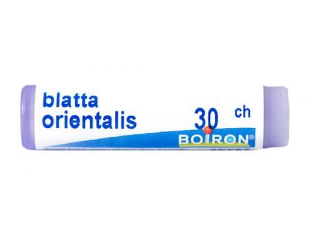 BOIRON Blatta Orientalis 30 CH granuki  jednodawkowe 1 g