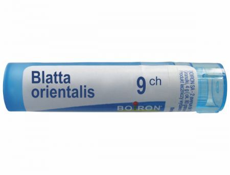 BOIRON Blatta orientalis 9 CH granulki 4 g