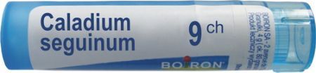 BOIRON Caladium seguinum 9 CH granulki 4 g
