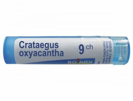 BOIRON Crataegus oxyacantha 9 CH granulki 4 g