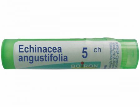 BOIRON Echinacea angustifolia 5 CH granulki 4 g