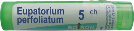 BOIRON Eupatorium perfoliatum 5 CH granulki 4 g