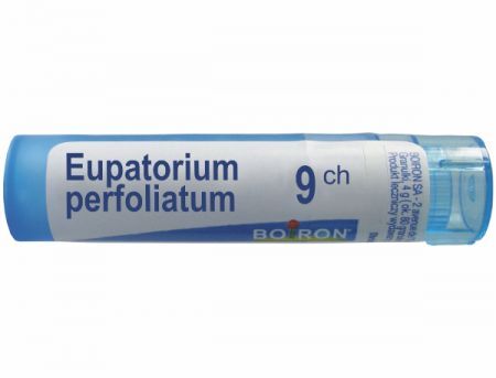 BOIRON Eupatorium perfoliatum 9 CH granulki 4 g