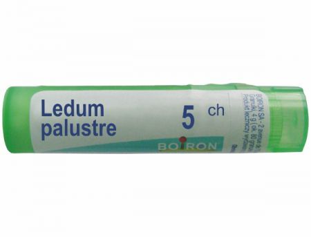 BOIRON Ledum Palustre 5 CH granulki 4 g