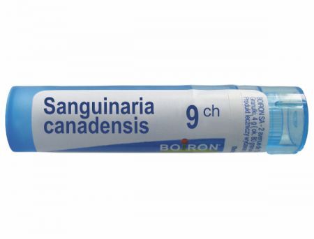 BOIRON Sanguinaria canadensis 9 CH granulki 4 g