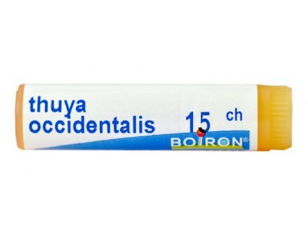 BOIRON Thuya occidentalis 15 CH granuki jednodawkowe 1 g