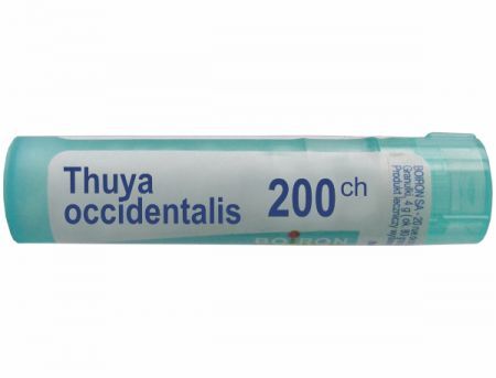 BOIRON Thuya occidentalis 200 CH granulki 4 g