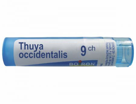 BOIRON Thuya occidentalis 9 CH granulki 4 g